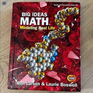 Big Ideas Math Modeling Real Life Textbook